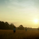 Screenshot: Sundance TV